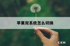 苹果双系统怎么切换「苹果电脑双系统切换」