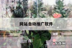 网站自动推广软件「seo自动推广软件」