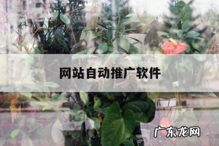 网站自动推广软件「seo自动推广软件」