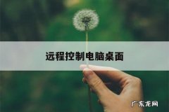 远程控制电脑桌面「远程控制电脑桌面所有东西都可以看见吗」