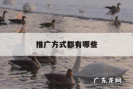推广方式都有哪些「广告推广方式有哪几种」