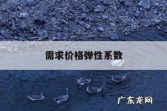 需求价格弹性系数，需求价格弹性系数的公式