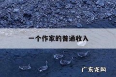 一个作家的普通收入「文学作家收入」