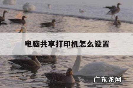 电脑共享打印机怎么设置「win7电脑共享打印机怎么设置」