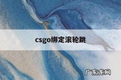 csgo绑定滚轮跳「csgo绑定滚轮跳和空格跳」