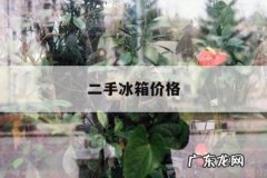 二手冰箱价格，新飞二手冰箱价格