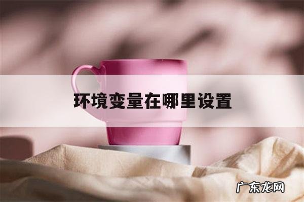 环境变量在哪里设置「环境变量在哪里设置liunx」