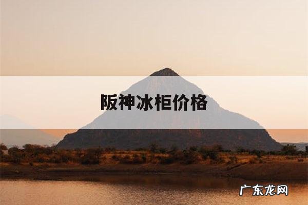 阪神冰柜价格,阪神冰柜图片大全