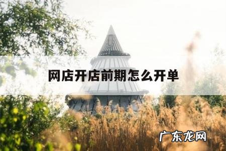 网店开店前期怎么开单「开网店怎么打单子」