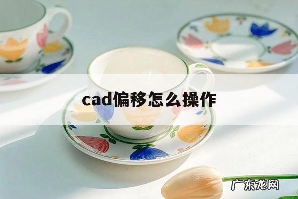 cad偏移怎么操作「cad偏移怎么操作不了」