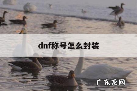 dnf称号怎么封装「dnf称号怎么封装2021」