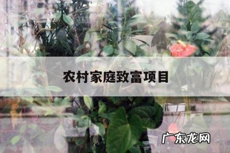 农村家庭致富项目「农村农民致富好项目」