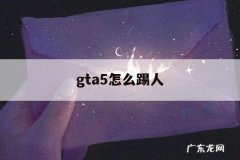 gta5怎么踢人「gta5怎么踢人出房间」