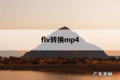 flv转换mp4「flv格式转换成mp4」
