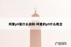 阿里p9是什么级别-阿里的p9什么概念