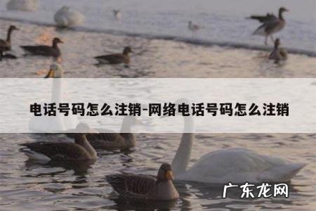 电话号码怎么注销-网络电话号码怎么注销