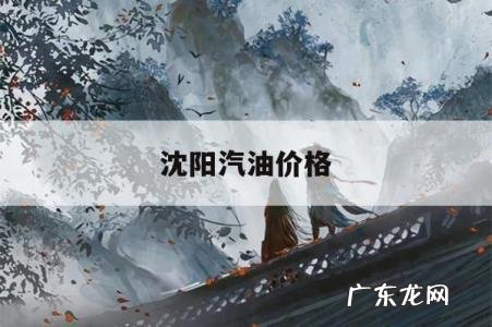 沈阳汽油价格，沈阳汽油价格调整最新消息