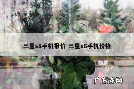 三星s8手机报价-三星s8手机价格
