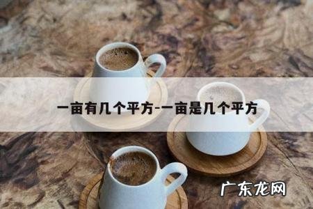 一亩有几个平方-一亩是几个平方