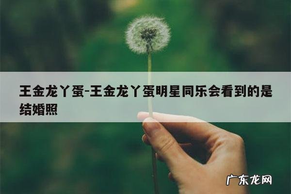 王金龙丫蛋-王金龙丫蛋明星同乐会看到的是结婚照