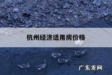 杭州经济适用房价格,杭州市经济适用房价格