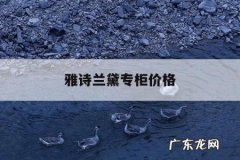 雅诗兰黛专柜价格，雅诗兰黛专柜价格一样吗