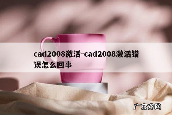 cad2008激活-cad2008激活错误怎么回事