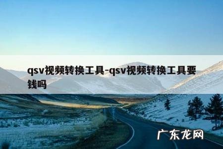 qsv视频转换工具-qsv视频转换工具要钱吗