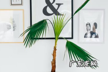 淘宝补单时间要求,淘宝什么时候补单最好?