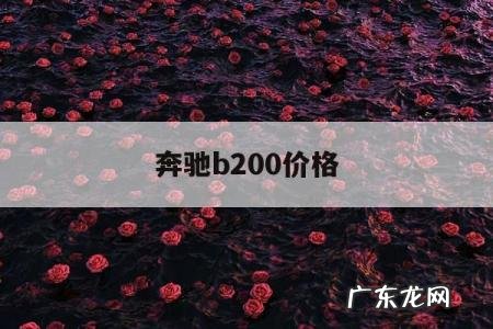 奔驰b200价格,奔驰b200价格及图片