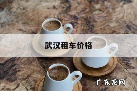 武汉租车价格，武汉租车价格一览表2020