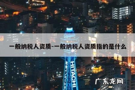 一般纳税人资质-一般纳税人资质指的是什么