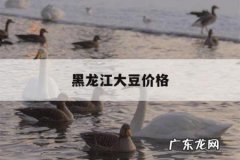 黑龙江大豆价格，黑龙江大豆价格行情预测