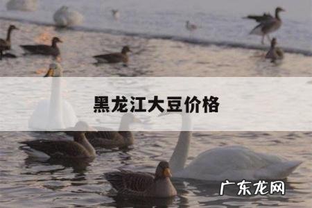 黑龙江大豆价格，黑龙江大豆价格行情预测