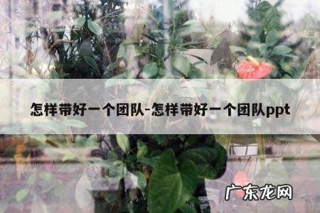 怎样带好一个团队-怎样带好一个团队ppt