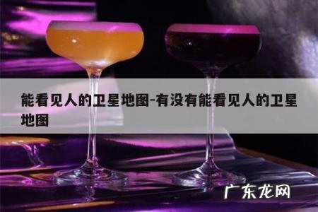 能看见人的卫星地图-有没有能看见人的卫星地图