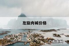 左旋肉碱价格，左旋肉碱价格暴涨