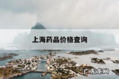 上海药品价格查询，上海价格信息药品专刊