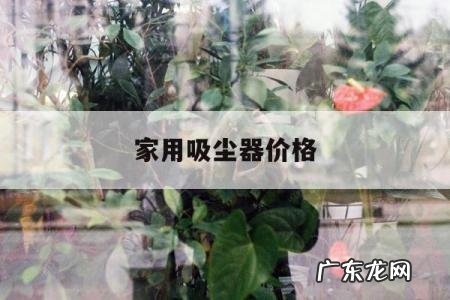 家用吸尘器价格,家用吸尘器价格一般就多少