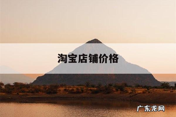 淘宝店铺价格,淘宝店铺价格突然很高