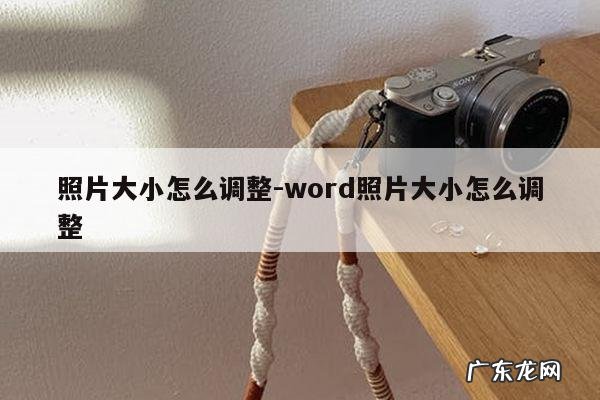照片大小怎么调整-word照片大小怎么调整