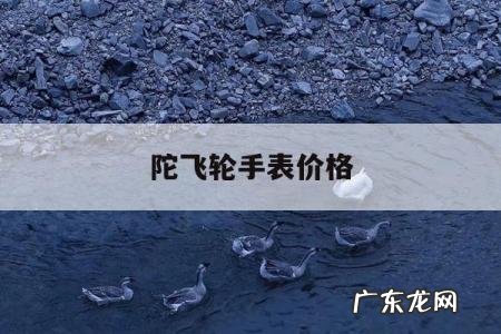 陀飞轮手表价格,理查德陀飞轮手表价格