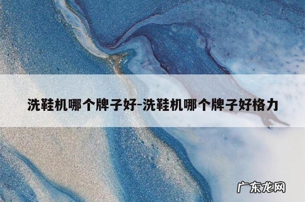 洗鞋机哪个牌子好-洗鞋机哪个牌子好格力