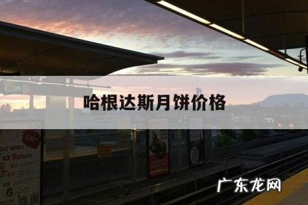 哈根达斯月饼价格,哈根达斯月饼图片和价格