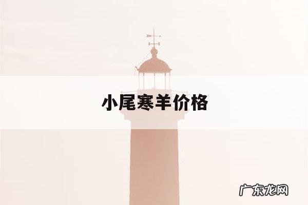 小尾寒羊价格,小尾寒羊价格怎样