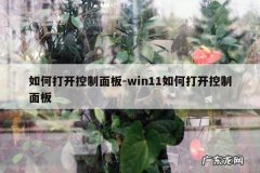 如何打开控制面板-win11如何打开控制面板