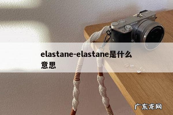 elastane-elastane是什么意思