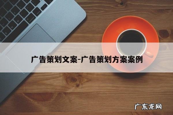 广告策划文案-广告策划方案案例