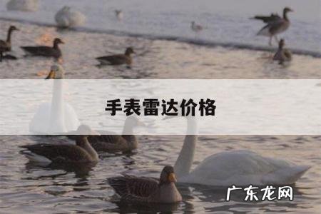 手表雷达价格,雷达腕表报价