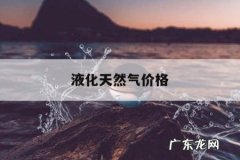 液化天然气价格，2021年液化天然气价格